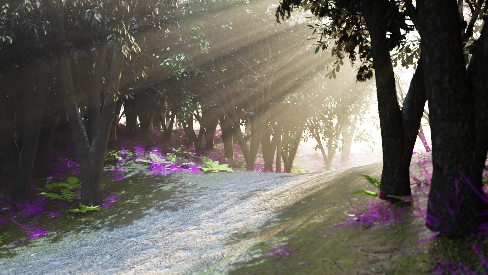 Forêt : Premiers pas en Lighting